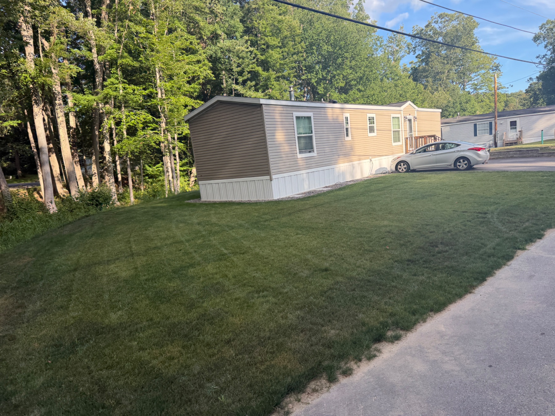 Rochester, NH hydroseeding 6 weeks after spray